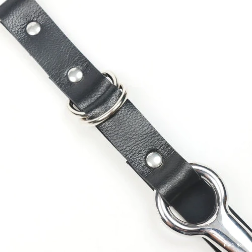 EverydayUse and Hook Leash with Anal 5853 Kinky Collar 0629